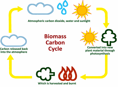 what is biomass